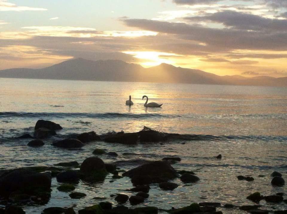 Tarbert Διαμέρισμα West Kilbride Εξωτερικό φωτογραφία